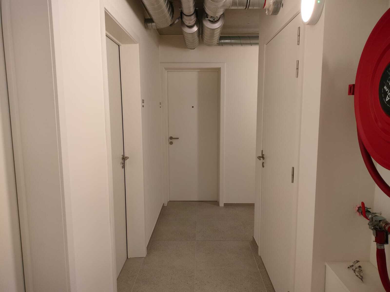 Kosy Erasmus à Bruxelles